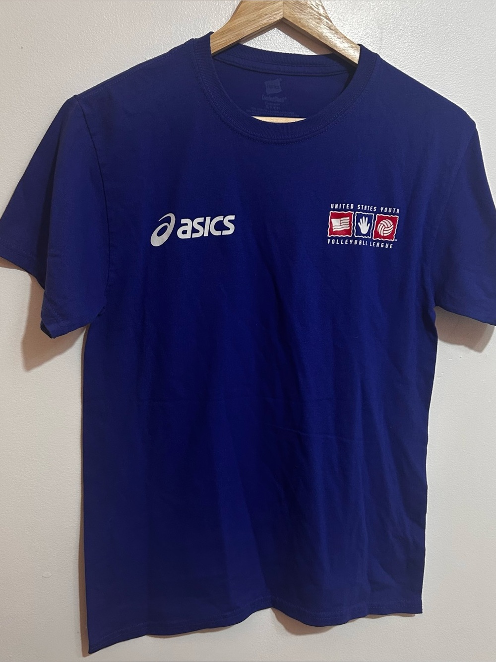 Hanes Royal Blue Crew Neck T-Shirt